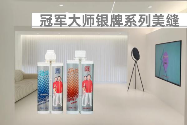 大师之家银牌美缝